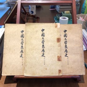 中国文學发展史（上中下册）