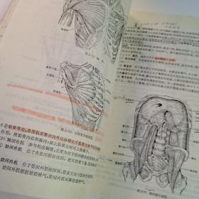 正常人体解剖学(供中医、针灸专业用)