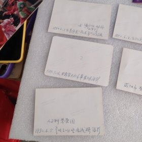 老照片 张亮清 林仲进伉俪家庭影展照片（大小共61张）