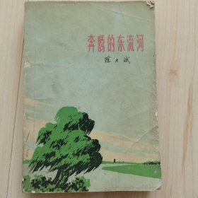 奔腾的东流河