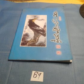 崔辉画集.