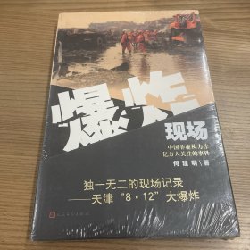 爆炸现场：天津“8·12”大爆炸纪实