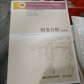 财务分析：数智版