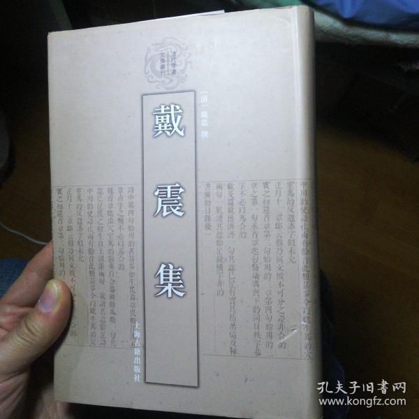 戴震集：清代学者文集丛刊