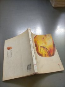 人魚的眼淚，琥珀