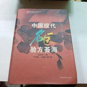 中国现代名医验方荟海