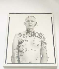 理查德·阿维顿 Richard Avedon
