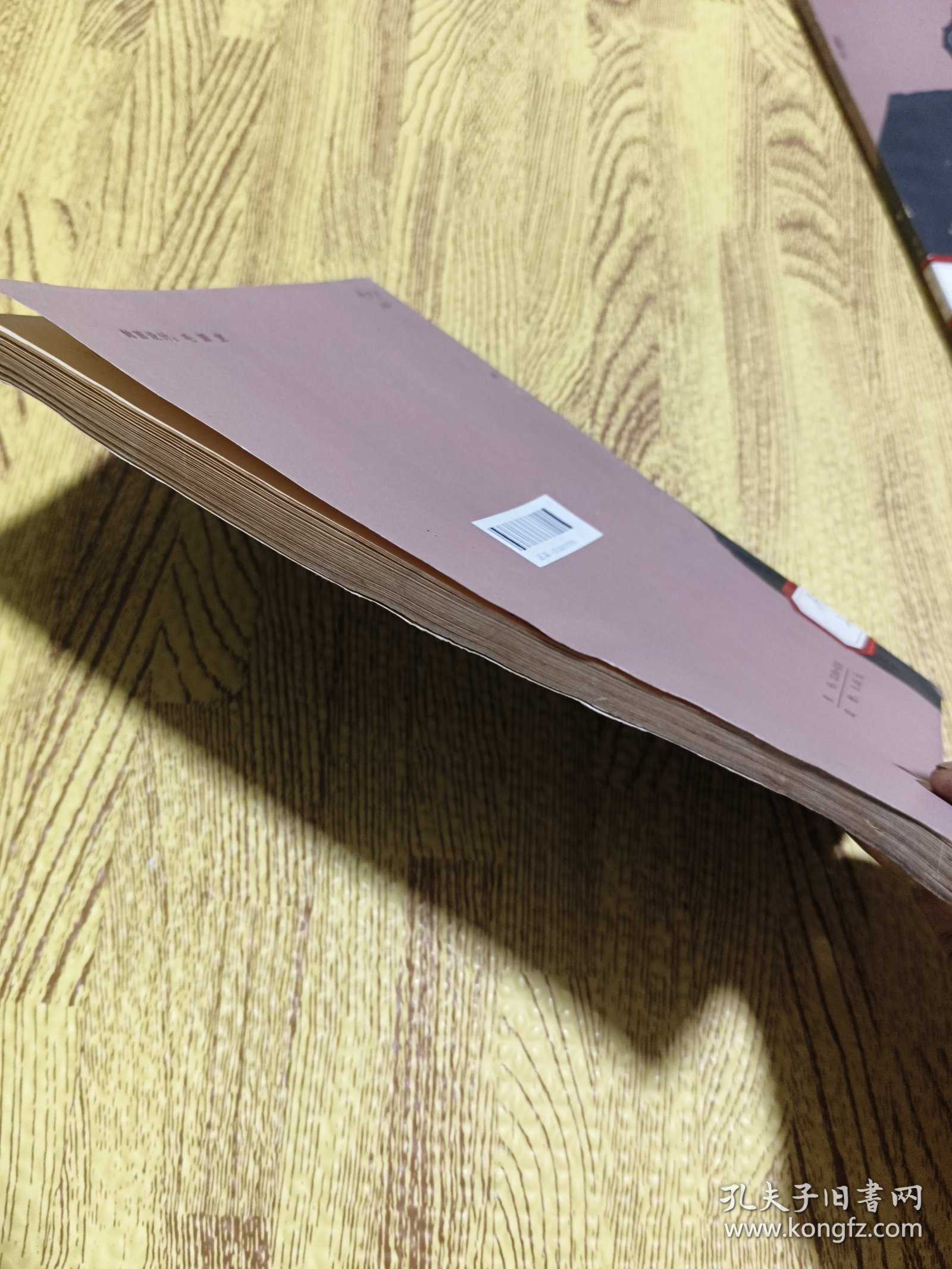 为人类工作：马克思生活记述