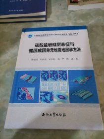 碳酸盐岩储层表征与储层成因单元地震地层学方法（精装）