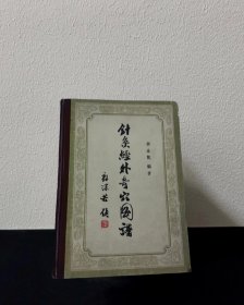 针灸经外奇穴图谱