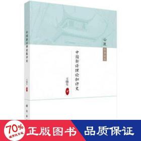 中國新詩理論批評(píng)史 中國現(xiàn)當(dāng)代文學(xué)理論 王曉生