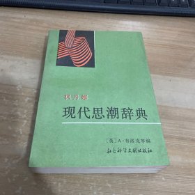 枫丹娜 现代思潮辞典