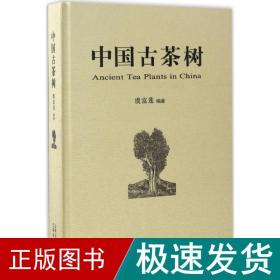 中国古茶树