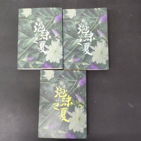 泡沫之夏（1 2 3册 全三册 3本合售）