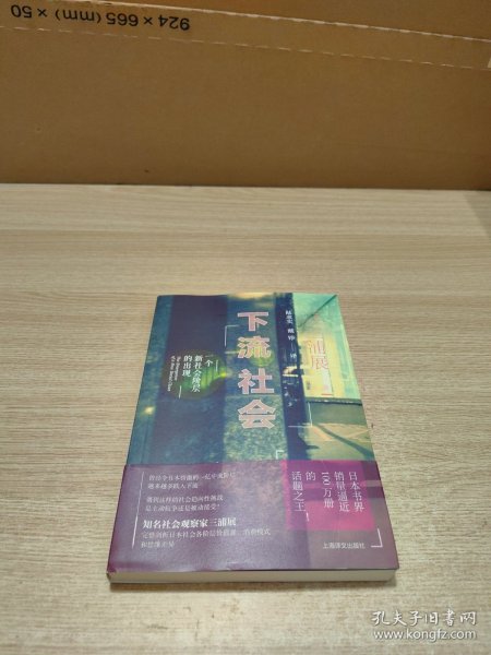 下流社会：一个新社会阶层的出现