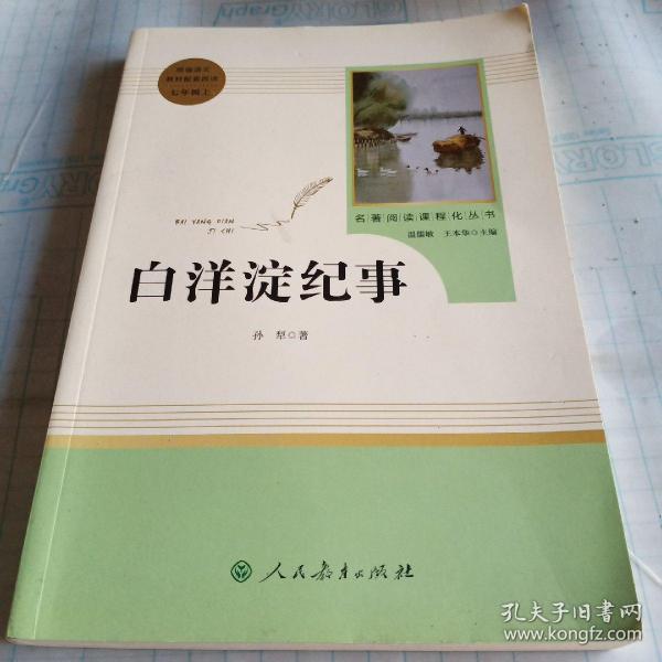 白洋淀纪事 名著阅读课程化丛书（统编语文教材配套阅读）七年级上