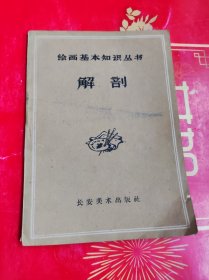 绘画基本知识丛书： 解剖