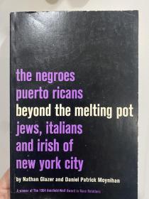 Beyond the Melting Pot：The Negroes, Puerto Ricans, Jews, Italians, and Irish of New York City