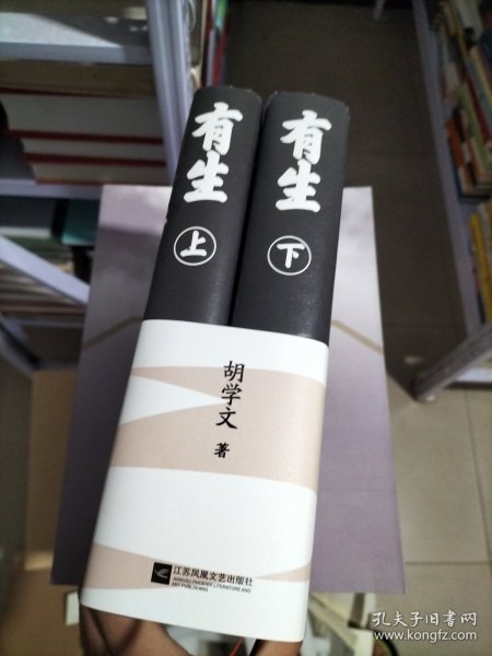有生 上下