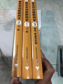 全套3册 骨关节功能解剖学原书第7七版 上肢+下肢+脊柱 骨盆及头部 123卷 实用骨科学临床医学影像学医师参考书 骨骼肌肉骨折治疗