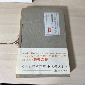 二十世纪中国小说与文化（插图本）