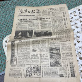 沈阳日报1987年11月25日