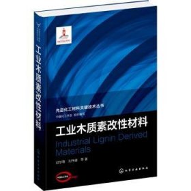 先进化工材料关键技术丛书--工业木质素改性材料