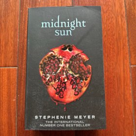 Midnight sun 午夜阳光