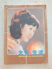 文化与生活 1985   1