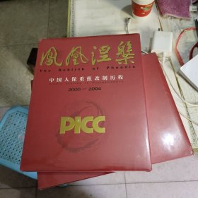 凤凰涅槃：中国人保重组改制历程2000-2004