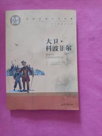 大卫 科波菲尔 中小学生课外阅读书籍世界经典文学名著青少年儿童文学读物故事书名家名译原汁原味读原著