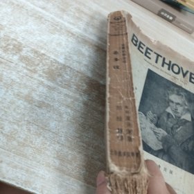 音乐的解放者悲多汶