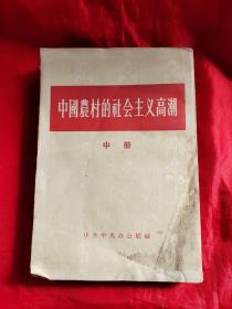 中国农村的社会主义高潮（中册）