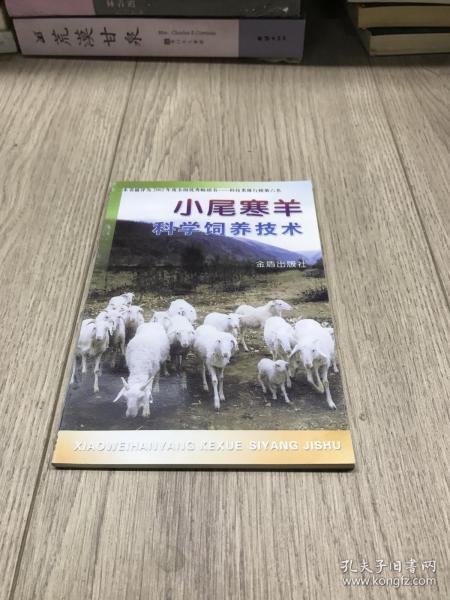 小尾寒羊科学饲养技术