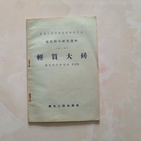輕質(zhì)大磚