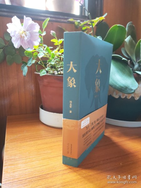 大象（“五个一工程”奖、茅盾文学奖得主、国民级作品《藏獒》作者杨志军zui新力作）