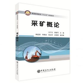 采矿概论/王子云等 大中专理科科技综合 王子云 渠爱巧　主编 新华正版