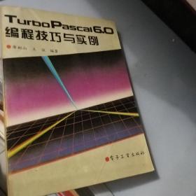 編程技巧與實(shí)例