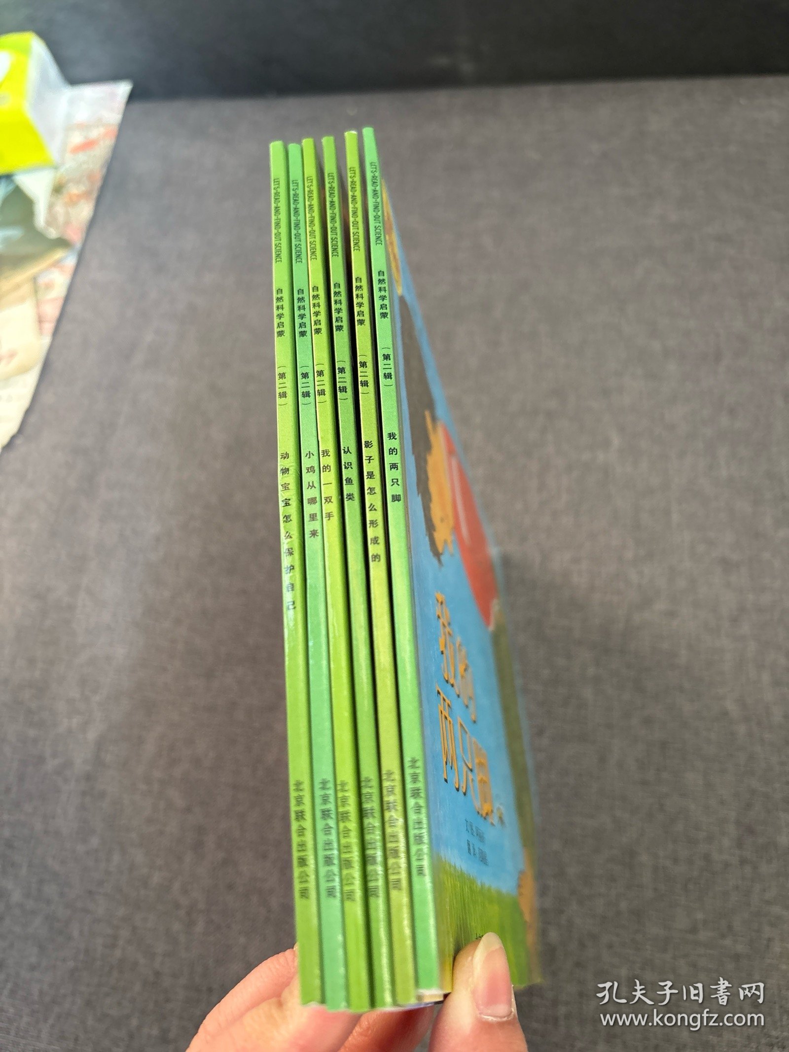 自然科学启蒙 第二辑 影子是怎么形成的 我的一双手 我的两只脚 认识鱼类 小鸡从哪里来 动物宝宝怎样保护自己 6册
