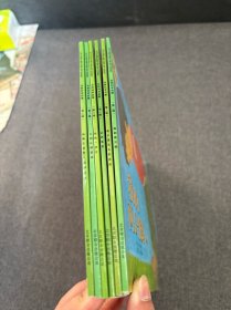 自然科学启蒙 第二辑 影子是怎么形成的 我的一双手 我的两只脚 认识鱼类 小鸡从哪里来 动物宝宝怎样保护自己 6册