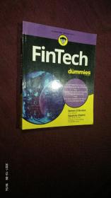 FinTech for dummies 面向傻瓜的金融科技  英文 原版