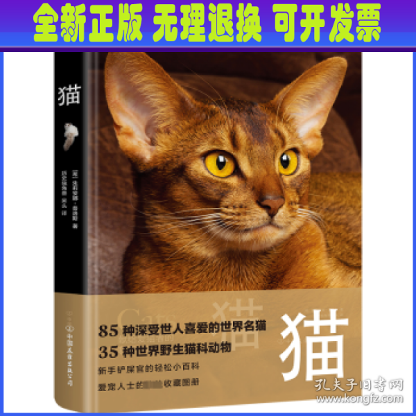 猫（野猫家猫百科大全，85种世界名猫，35种野生猫科动物。精装全彩印刷，200+高清美图，附赠手账+图鉴+书签）