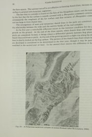 【学者谢又广签名旧藏】1972年东京大学地理系学者坂口裕隆著《泥炭沼泽中滩洼成因的探讨——茅草弦理论的解释》16开25页插图本