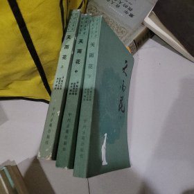 天雨花上中下册
