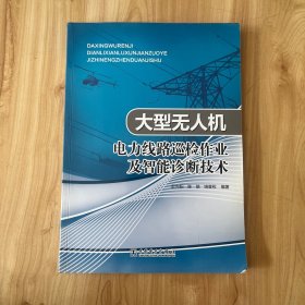 大型无人机电力线路巡检作业及智能诊断技术