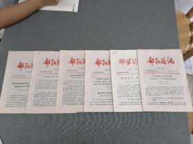 邵阳简讯1973年（第1期2本至8期、第10、14、15、16期）14本同售