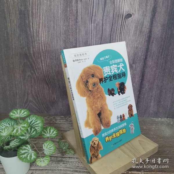 贵宾犬养护全程指导（全彩图解版）/我的宠物书