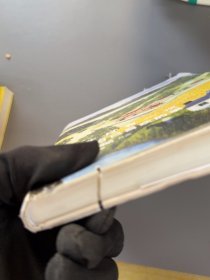 锯口 人生只有一次，去做自己喜欢的事（新版）[美]摩西奶奶著；姜雪晴