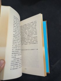 王小波全集第五卷