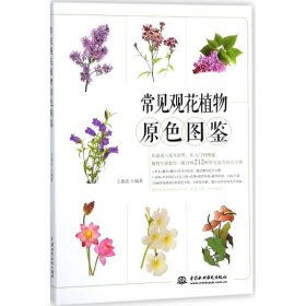 常见观花植物原色图鉴